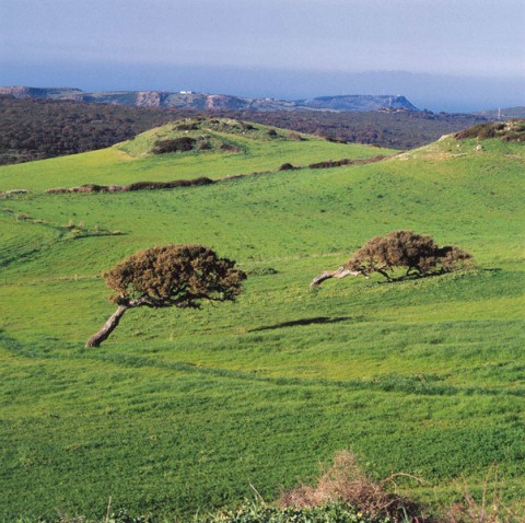sardegna_1.jpg